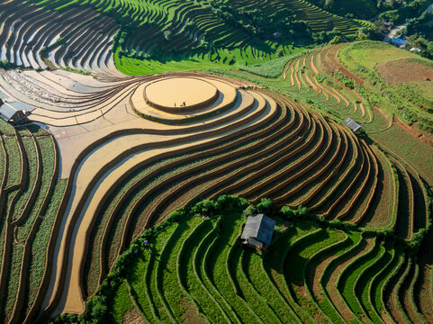 Mam Xoi Rice Terrace in Mu Cang Chai During Water Season