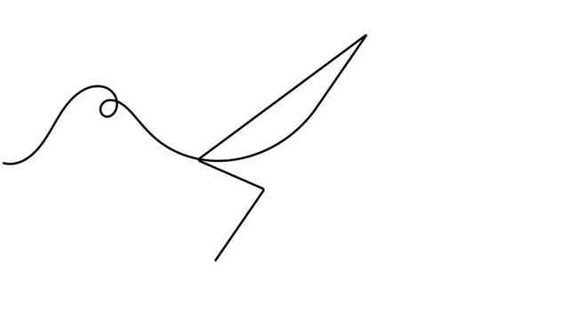 Modern electric power lightning bolt icon sign continuous one line art single drawing on white background minimalist collection of digital energy and flash thunderbolt concept symbol animation video
