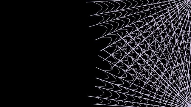 Animated spider web forming with purple spider hanging against black background.
