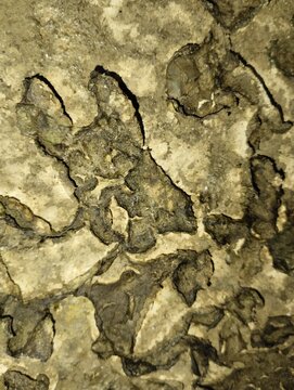 Close-up of weathered stone wall surface with deep cracks and textured dark mineral deposits