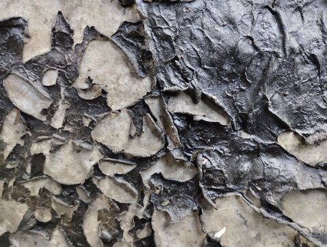Detailed close up of black peeling paint layers revealing grey concrete texture underneath surface.