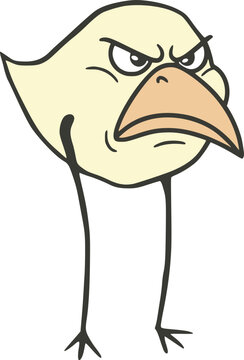 Funny yellow chicken with an angry expression, looking furious and humorously irritated.