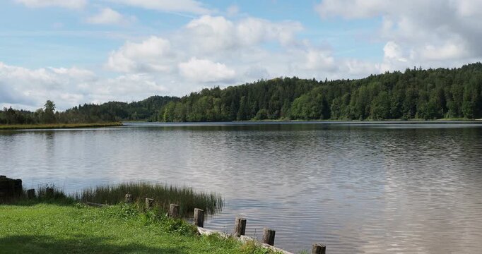 View of the small bay on the northwest shore of Lake Kirchsee in Upper Bavaria. A dense forest bordered by heathland, reedbeds, and peat bogs in the heart of the Ellbach-Kirchseemoor nature reserve