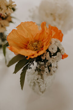 Composition florale avec coquelicot
