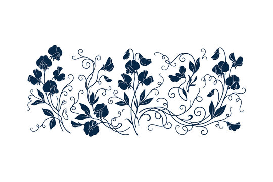 Elegant floral border vector illustration with vintage botanical elements and delicate sweet pea flowers