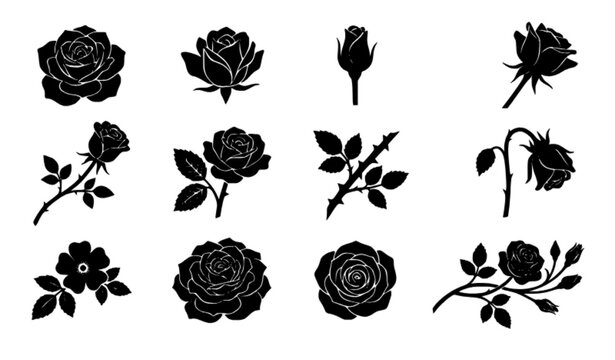 Black rose silhouette vector set with blooming flowers buds stems leaves and botanical shapes