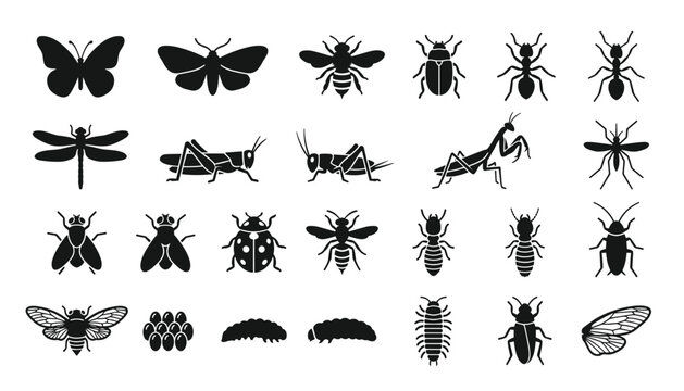 entomology insects and bug diversity icon set vector .