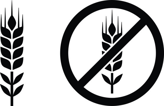 Black wheat ear silhouette and gluten free prohibition sign vector icons set isolated on crisp white background for food packaging