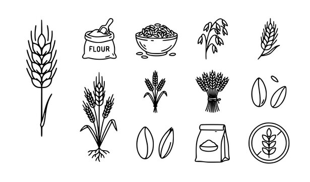 Wheat and grain vector icon set with flour bag, cereal bowl, oat plant, wheat sheaf, and kernel symbols