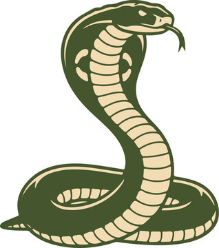 Stylized illustration of a green cobra snake in a defensive upright position