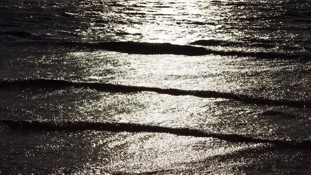 夕方の光を受けて輝く海辺の水面