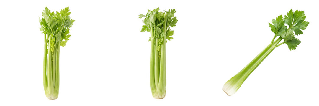 Three bunches of fresh green celery stalks with leafy tops isolated on a transparent background vegetable