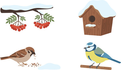 Obraz premium Winter Wild Birds Icon Set with Sparrow Eating Seeds Blue Tit on Branch Snow Covered Wooden Birdhouse and Red Rowan Berries Vector Illustration