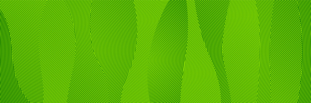 An abstract green background with intersecting curves and wave patterns.