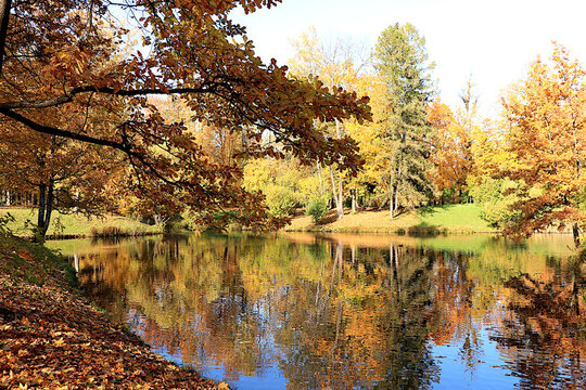Lake surrounded by red and yellow foliage, with its reflection in the water on sunny day. Autumn park in Russia in September, picturesque autumn park landscape,vibrant autumn banner.