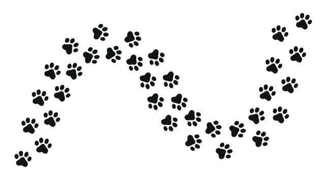 Animal paw prints trail