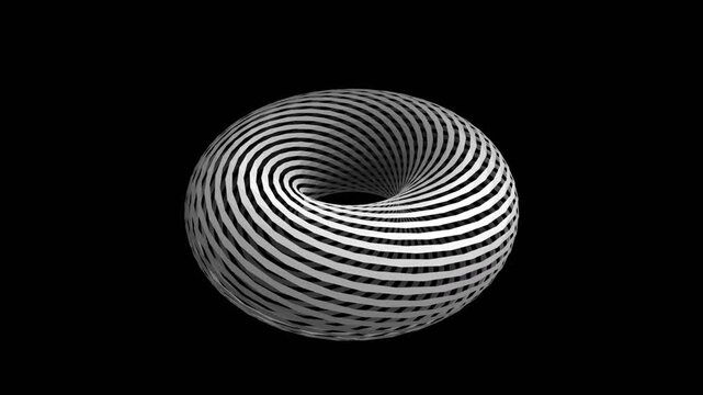 Rotating monochrome torus animation showing complex mathematical geometric pattern motion loop