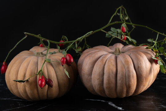 Close-up of two nutmeg squash sitting on a platter against a dark background. A vine bearing rose hips has draped itself over the squash.