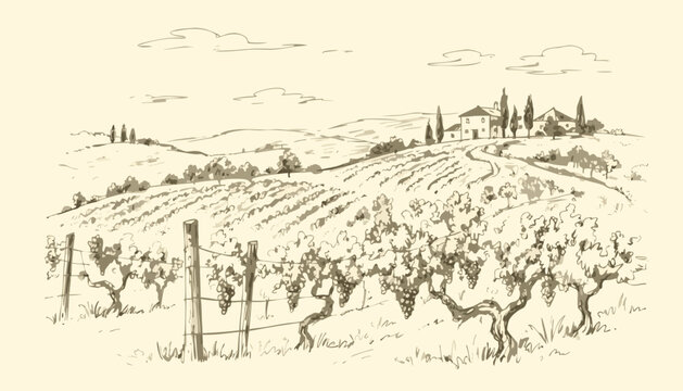 Tuscan vineyard landscape illustration with rolling hills and farmhouse
