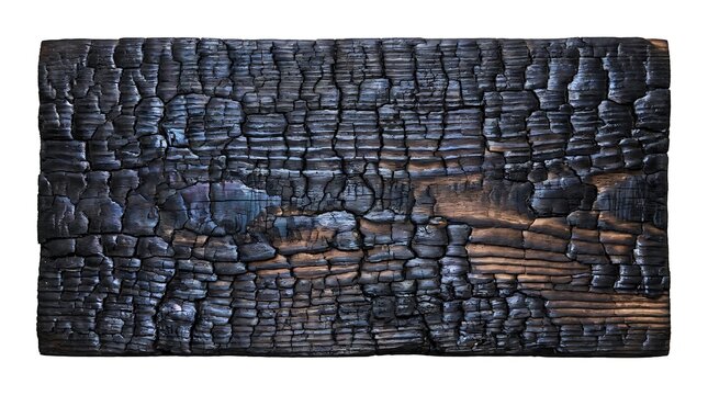 Close up view of charred wood plank texture with deep black cracks and ashes isolated on white background