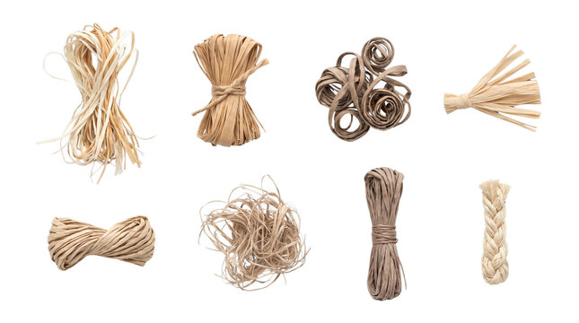 A diverse collection of natural fiber bundles and ropes, showcasing various textures and forms of raffia and twine, meticulously arranged on a clean white background