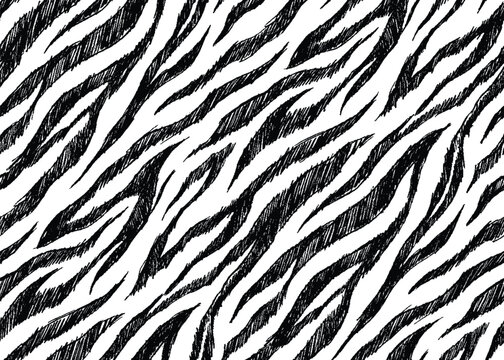Zebra stripes pattern for fashion and textile design backgrounds.