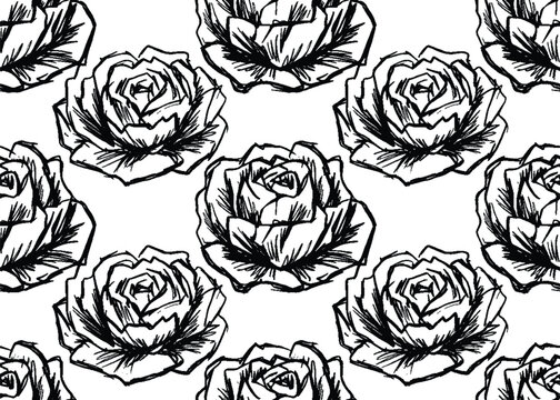 Hand drawn floral rose pattern black and white sketchy botanical design.