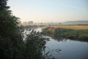 Kurpie,  Polska, Pisa, Narew © dulak