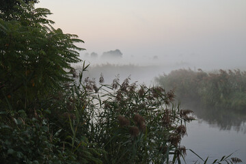 Kurpie,  Polska, Pisa, Narew © dulak