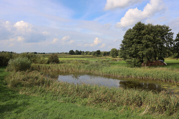Kurpie,  Polska, Pisa, Narew © dulak