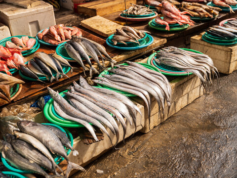 View of fresh fish displayed on colorful plastic plates at a bustling market stall in Busan, Busan, South Korea.
