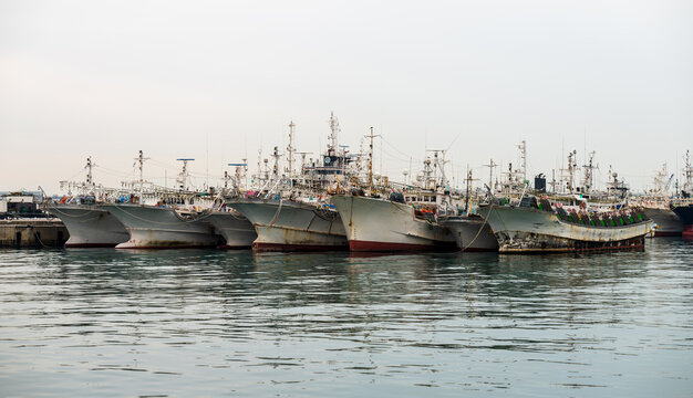 View of multiple fishing boats moored in the harbor at the port of Busan, Busan, South Korea.