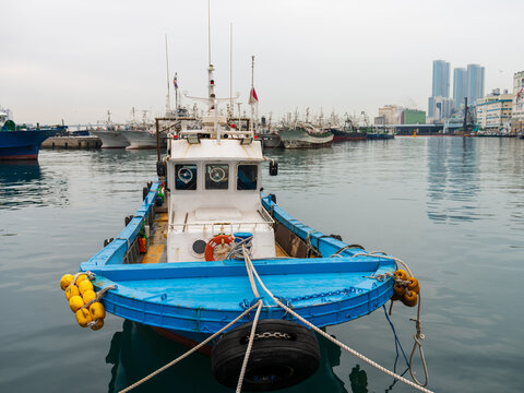 View of a blue and white fishing boat moored in a harbor with other vessels in the background and city buildings under an overcast sky in Busan, Busan, South Korea.