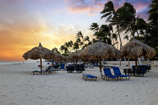 View of straw umbrellas and blue lounge chairs on the white sand beach at sunset with palm trees swaying in the breeze, Oranjestad, Aruba, Aruba.