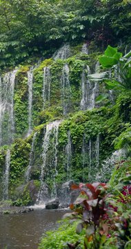 Waterfall with lush tropical plants in Bali. Banyu Wana Amertha Waterfall