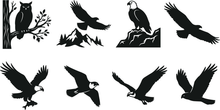 Raptor icon set featuring eagle falcon hawk owl flying perched on branch and mountain rock vector.eps