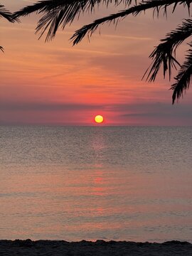View of a vibrant sunrise over the calm sea with palm tree silhouettes framing the horizon in Paralia, Katerini, Greece.