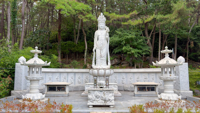 View of a white stone Bodhisattva statue standing on a lotus pedestal flanked by traditional stone lanterns in a forest setting on Jangsan Mountain, Busan, South Korea.