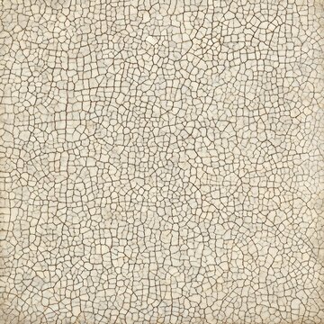 Ancient Craquelure Pattern