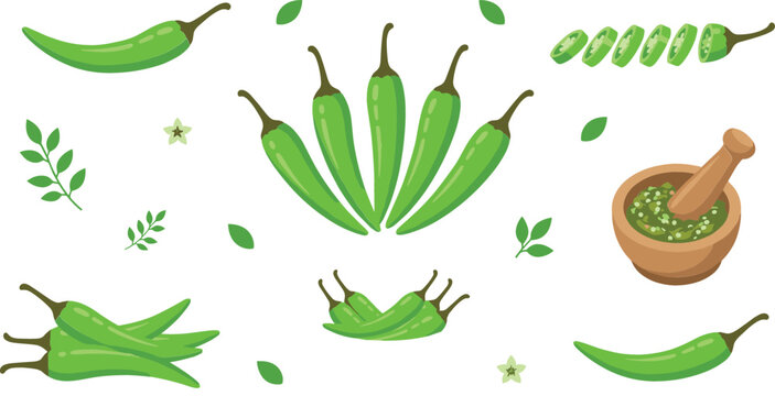 Green chili pepper vector set featuring fresh jalapeno pods sliced pieces organic leaves herbal paste in wooden mortar pestle and spice elements
