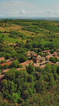 Aerial view of old rustic vintage houses with wine cellars in Rogljevacke pivnice in Negotin region of Serbia. Vertical video 4k