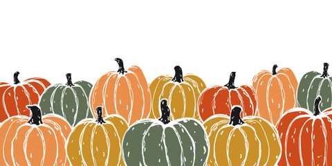 Obraz premium Thanksgiving and Halloween banner template with hand drawn autumn pumpkins on white background. Vector horizontal background