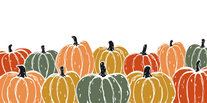 Thanksgiving and Halloween banner template with hand drawn autumn pumpkins on white background. Vector horizontal background