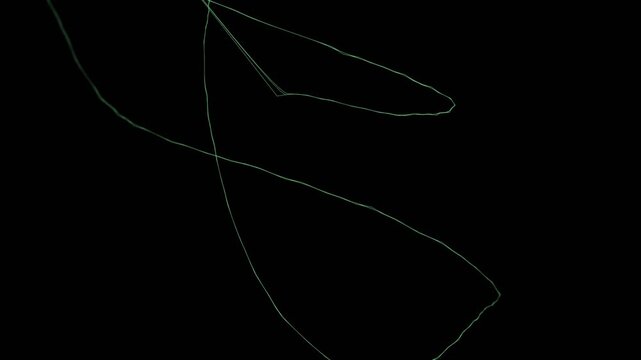 Puffed:  Line Network geometry shape object landscape abstract formation generative animation art generative technology Design Motion