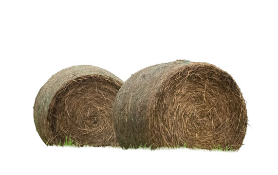 straw bales on white background