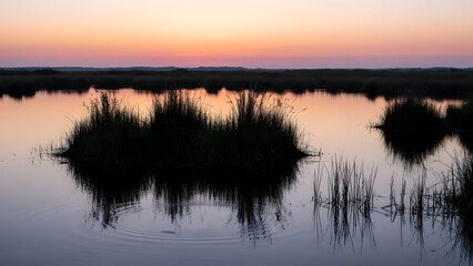 Fototapeta premium Serene Sunset Over Wetland Marsh Reflection.