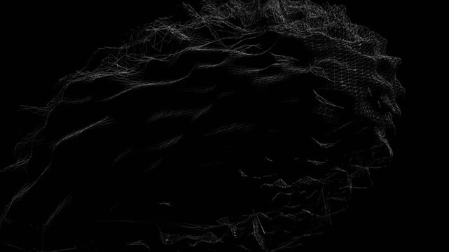 Puffed:  Rough creature Network geometry shape object landscape abstract formation generative animation art generative technology Design Motion
