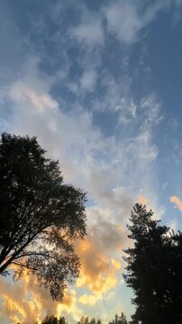 Vertical shot of cinematic clouds and blue sky over forest trees at sunset