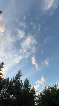 Vertical shot of cinematic clouds and blue sky over forest trees at sunset