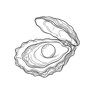 Oyster with Pearl Outline - Elegant Ocean Treasure Line Art Illustration